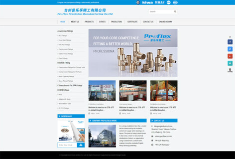 台州普乐孚精工有限公司