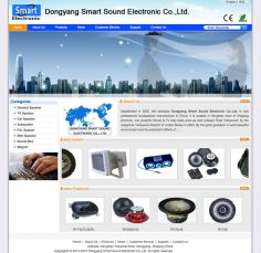 Dongyang Smart Sound Electronic Co.,Ltd.
